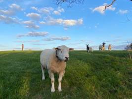 Fernab vom Trubel nahe der Müritz