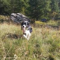 Campingplatz in Belvedere, Provence-Alpes-Côte d'Azur