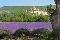 Flower Camping L'Epi Bleu