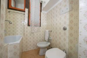 Gufo - Orange 100m near lake