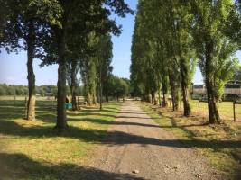 Camping mit Pferden in der Bretagne