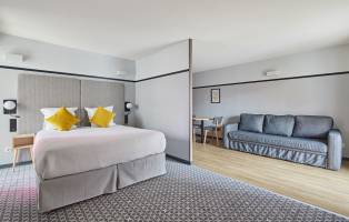 Lyon Centre Confluence Aparthotel Suite