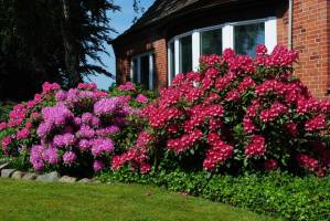 Campspace in Klein Rheide, Schleswig-Holstein
