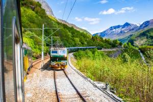 Treinreis Noorwegen - Groen, groener, groenst