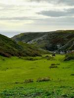 Glamp Biwak in Belle-ÃŽle-en-Mer (Belle ÃŽle en Mer), Bretagne