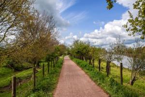 Weekend, midweek, week Betuwe - vakantiepark Eiland van Maurik