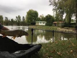 Camping Le Plan D'eau Saint Charles