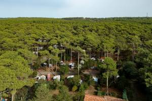 Camping Sandaya Le Truc Vert