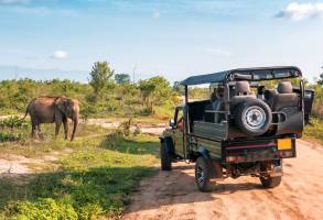 Familiereis op avontuur in Sri Lanka