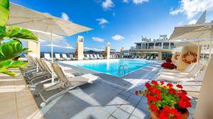 Bull Reina Isabel en Spa