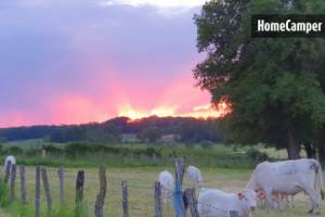 Ruhiger Garten in Marboz, Auvergne-Rhône-Alpes