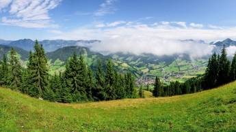 Hotel Austria Niederau