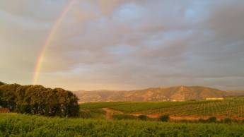 Entspannung und Natur auf dem Campingplatz