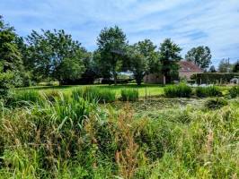 Schönes Stück Naturgarten mit Obstgarten und Teich