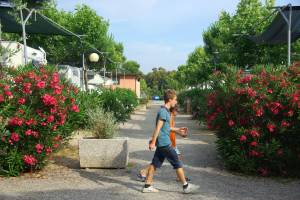 Pappasole Camping Village