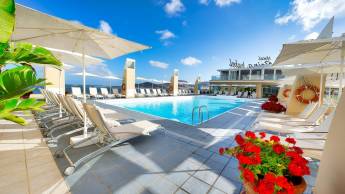 Bull Reina Isabel en Spa