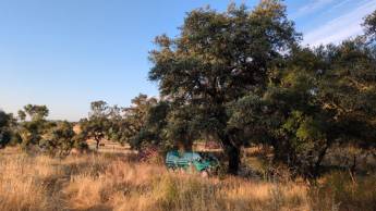 Campingplatz in Santa Clare, Aroche, Andalusien