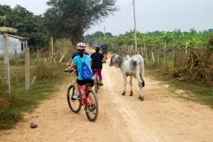Fietstour Mekong Islands