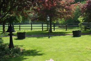 Fahrradfahrer, Reiter und Kutschfahrer mit Reisemobil/Caravan in