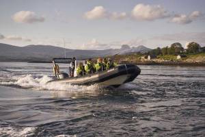 4D RIB-safari naar Saltstraumen (01apr - 03nov)