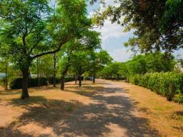 Camping Mas des Roses