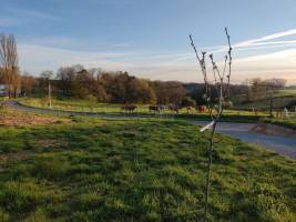 Campingplatz in Thiviers, Nouvelle-Aquitaine