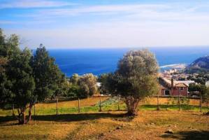 Campingplatz in Arenzano (Genua)
