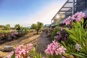 Les Terrasses d'Arsella 2p6p Terrace