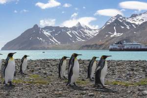 2024/25 Ultieme Hurtigruten expeditie naar Antarctica, Falkland 