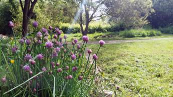 Campingplatz in der Nähe von DINAN, Bretagne