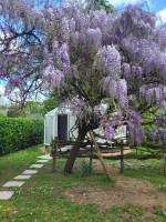 Campingplatz in BRIOLLAY, Pays de la Loire