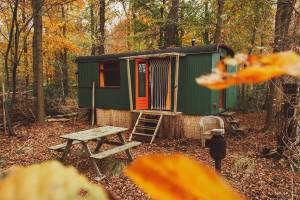 Campingplatz im Wald