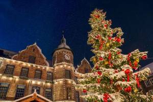 5 dg cruise Kerst op de Rijn Rhein Prinzessin