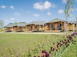 Glamping Lodge