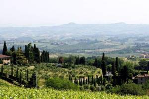 Il Casale del Cotone