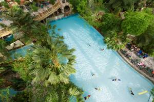 Center Parcs Bispinger Heide