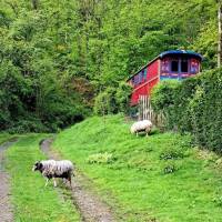 Campingplatz in Yvoir, Provinz Namur