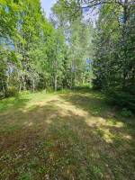 Ruhiger Campingplatz im Wald bei Vimmerby