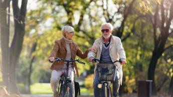 Hotel De Schout Denekamp