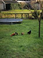 Ruhiger Ort am Rande eines malerischen Dorfes