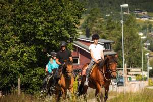 Paardrijtochten, Geilo