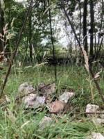 Campingplatz in Zulte, Ostflandern