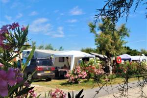 Camping La Pépinière