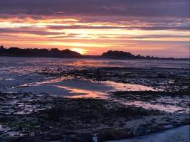 In der Nähe des GR34, in Penvenan, Bretagne