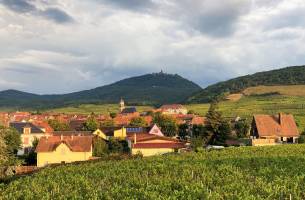 Autovakantie Route des Vins d'Alsace - Hotel Munsch