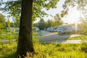 Camping Vreehorst