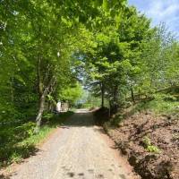 Zelten auf dem Bauernhof