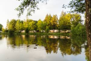 Camping L Etang De Sologne