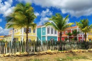 12 dg cruise Caribische Zee Nieuw Amsterdam
