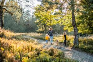 Appartement - Am Waltenberg 70-MS | Winterberg 'Tremonia'